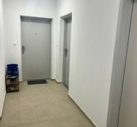 A hallway in a 3-room apartment with doors and lighting, tiles on the floor.