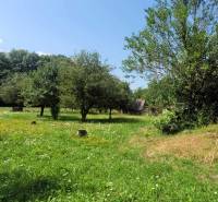 Greenery on A.H. Škultétyho Street, plots – housing surrounded by trees and meadows.
