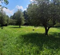 Greenery and trees creating a peaceful atmosphere on A.H. Škultétyho Street, ideal for living.