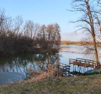 A peaceful body of water with trees and a wooden pier, an ideal place for a cabin.