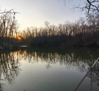 A lake in the forest at sunset with a wooden bridge. A relaxing environment and a non-fairy tale cabin.