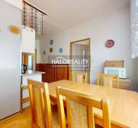 Dining room in a 4-room apartment with a wooden table and a plant on the windowsill.