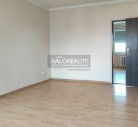 A spacious room in a 4-room apartment with laminate flooring and dark doors.
