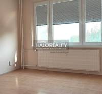 A room in a 4-room apartment with wooden flooring and a large window.