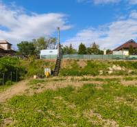 Greenery on recreational plots in Záhorce on Selešťany Street, with a view of the houses.