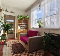 Interior of a family house with a sofa, plants, and decorations, sunlight.