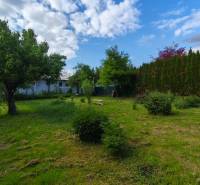 A garden in a family house on Partizánska Street in Malý Krtíš with fruit trees.