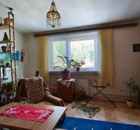 Living room in a family house with wooden furniture, a carpet, houseplants, and a large window.