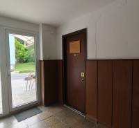 Interior with a door and a window in the office, view of the street.