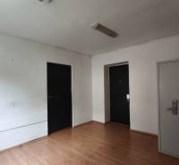 An office interior with three doors, wooden flooring, and white walls.