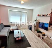 Living room with a sofa, television, and furniture in a 2-room apartment.