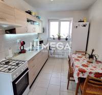 A kitchen in a 2-room apartment with a gas stove, a dining table, and flowers on the windowsill.
