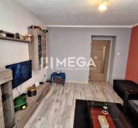 Living room in a two-room apartment with wooden furniture, a sofa, and a TV on the wall.