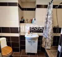 Bathroom in a 2-room apartment with a sink, shower, and toilet.