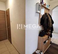 A hallway in a 2-room apartment with a coat rack, shoe cabinet, and a washing machine in the background.