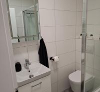 Bathroom in a 2-room apartment with a sink, mirror, and shower corner.