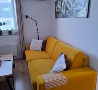 Yellow sofa, table, decorations, and wooden decor flooring in a 2-room apartment.