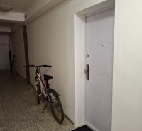 Hallway of a 2-room apartment with a bicycle and entrance door.