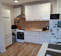 A kitchen in a 2-room apartment with white furniture and a wooden decor floor.