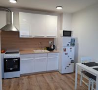 A kitchen in a 2-room apartment with white cabinets and a wood-patterned floor.