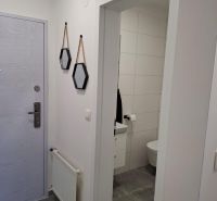 A hallway with mirrors, a radiator, and a view into the bathroom in a 2-room apartment.
