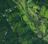 Sale Agrarian and forest land, Agrarian and forest land, Medzilaborce,