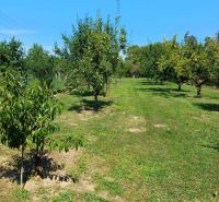 Sale Land – for living, Land – for living, Gönc, Hungary