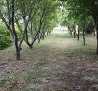 Sale Land – for living, Land – for living, Dunajská Streda, Slovakia