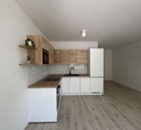 A kitchen and a floor with a wooden decor in a studio apartment.
