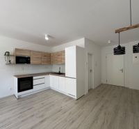 A kitchen unit with a wooden decor and black lighting fixtures in a studio apartment.