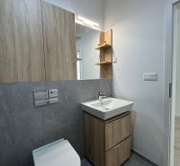 Bathroom in a studio apartment with wood-patterned flooring, a sink, and a toilet.