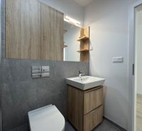 Bathroom in a studio apartment with wooden cabinets and ceramic tiles.