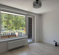 A one-room apartment with a large window and a balcony, floor with wooden decor.