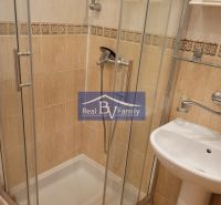 Shower enclosure with glass doors and a sink in the bathroom of a 3-room apartment.