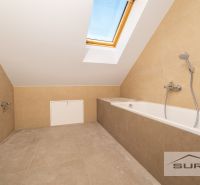 Bathroom with a bathtub and a skylight in a family house.