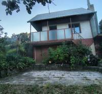 Sale Cottage, Cottage, Vinohrady, Nové Mesto nad Váhom, Slovakia