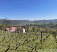Sale Cottage, Cottage, Rožňava, Slovakia