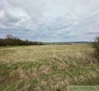 Sale Agrarian and forest land, Agrarian and forest land, Poltár, Slova