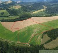 Sale Agrarian and forest land, Agrarian and forest land, Snina, Slovak