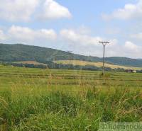Sale Agrarian and forest land, Agrarian and forest land, Bardejov, Slo