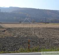 Sale Agrarian and forest land, Agrarian and forest land, Bardejov, Slo