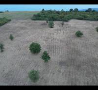 Sale Agrarian and forest land, Agrarian and forest land, Partizánske,
