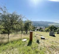 Sale Land – for living, Land – for living, Na Pečovec, Sabinov, Slovak