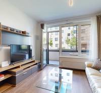 BORY modern 1 bedroom apartment with pleasant view
