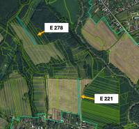 Sale Agrarian and forest land, Agrarian and forest land, Svidník, Slov
