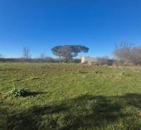 Sale Land – for living, Land – for living, Zadar, Croatia