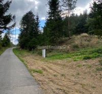 A reinforced road runs alongside a forest plot suitable for living in Kremnické Bane.