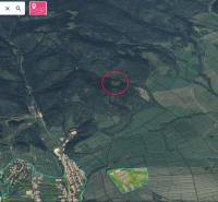 Sale Agrarian and forest land, Agrarian and forest land, Stará Ľubovňa