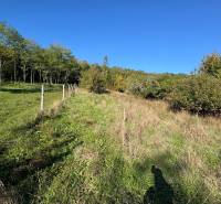 The garden at the cottage in Veľké Turovce is bordered by a fence, surrounded by trees and shrubs.