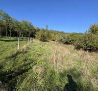 A slope with grass and shrubs near a cottage in Veľké Turovce under a blue sky.